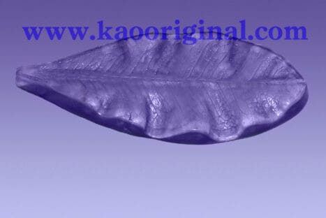 Euphorbia milii leaf <span style="color: #ff0000;">©</span> <br> ใบโป๊ยเซียน <br> SKU: 079