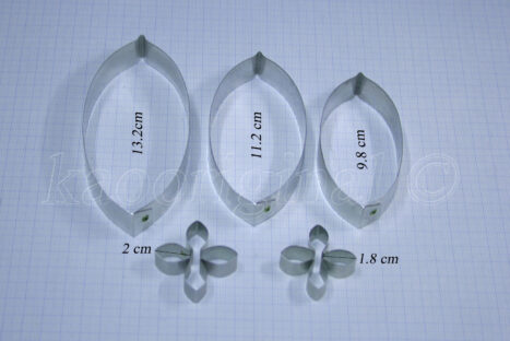 Ixora coccinea L <span style="color: #ff0000;">©</span><br> ดอกเข็ม | ใบเข็ม L <br> SKU: 3528