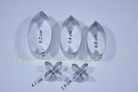 Ixora coccinea M <span style="color: #ff0000;">©</span><br> ดอกเข็ม | ใบเข็ม M <br> SKU: 3529