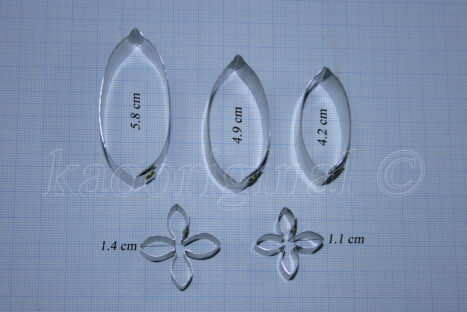 Ixora coccinea S <span style="color: #ff0000;">©</span><br> ดอกเข็ม | ใบเข็ม S <br> SKU: 3530