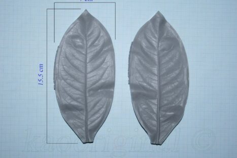 Ixora coccinea Leaf L <span style="color: #ff0000;">©</span><br> ใบเข็ม L <br> SKU: 2083