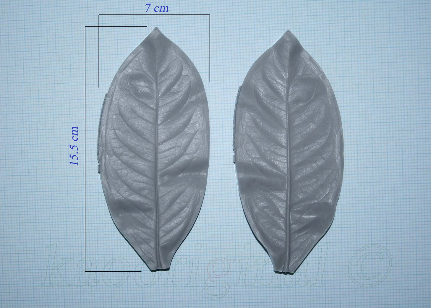 Ixora coccinea Leaf L <span style="color: #ff0000;">©</span><br> ใบเข็ม L <br> SKU: 2083