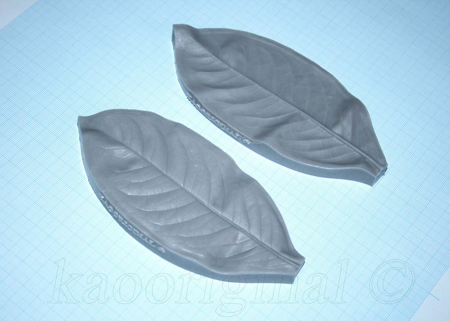 Ixora coccinea Leaf L <span style="color: #ff0000;">©</span><br> ใบเข็ม L <br> SKU: 2083 - Image 5