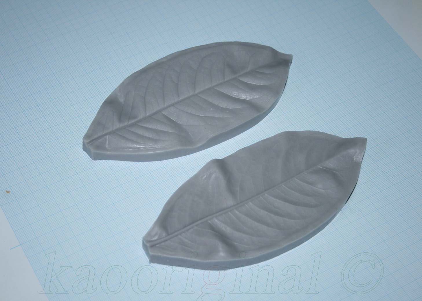 Ixora coccinea Leaf L <span style="color: #ff0000;">©</span><br> ใบเข็ม L <br> SKU: 2083 - Image 7