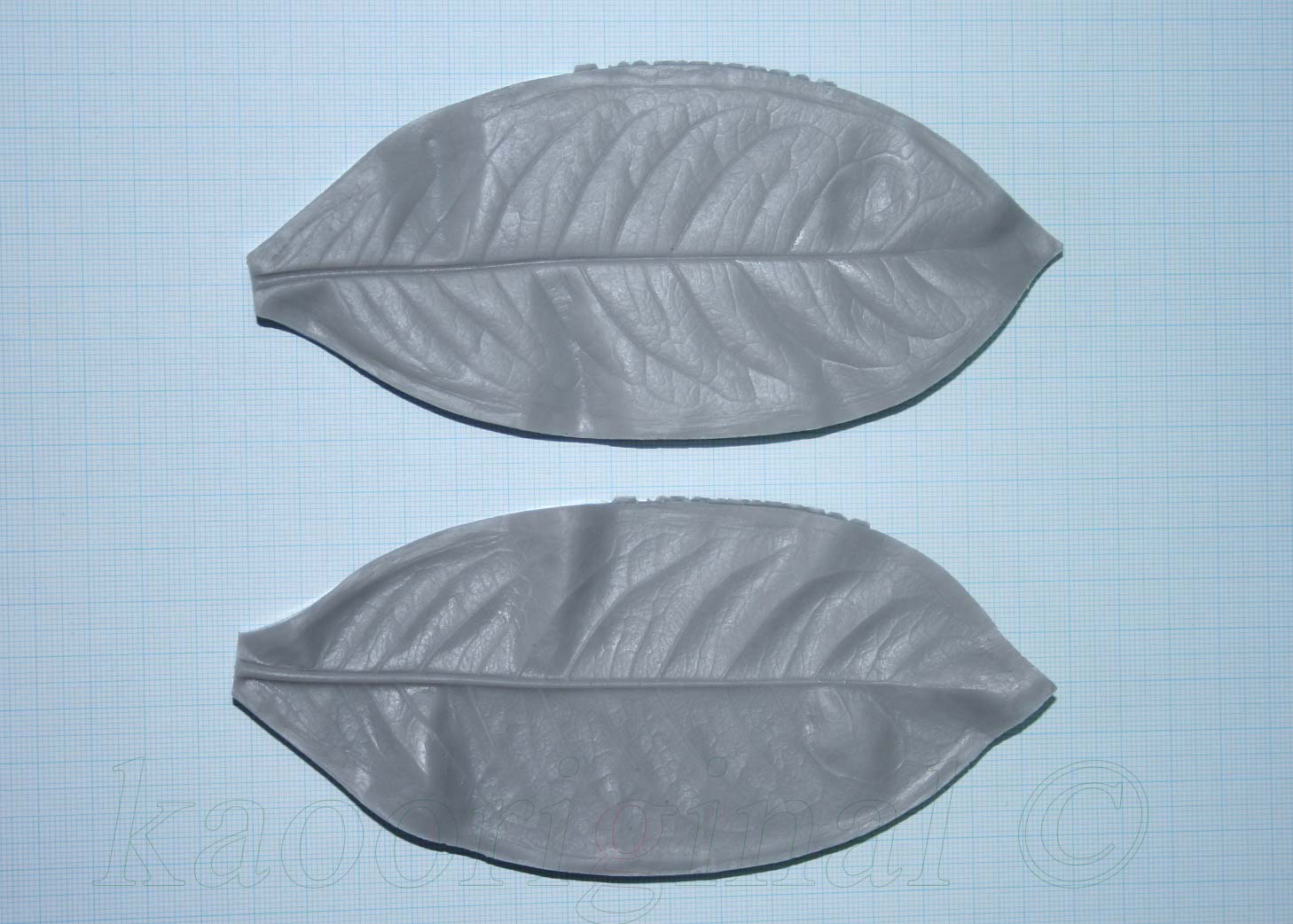 Ixora coccinea Leaf L <span style="color: #ff0000;">©</span><br> ใบเข็ม L <br> SKU: 2083 - Image 8