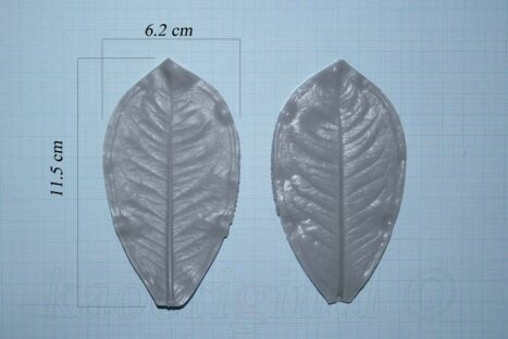 Ixora coccinea Leaf M <span style="color: #ff0000;">©</span><br> ใบเข็ม M <br> SKU: 2084